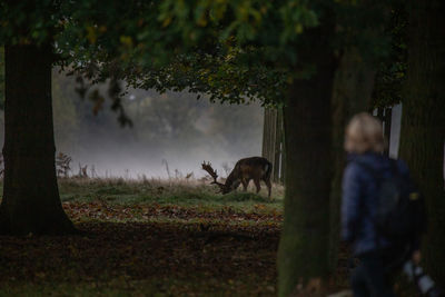 Man with dog on field