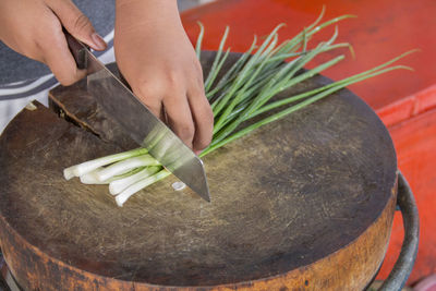 Midsection of woman preparing food