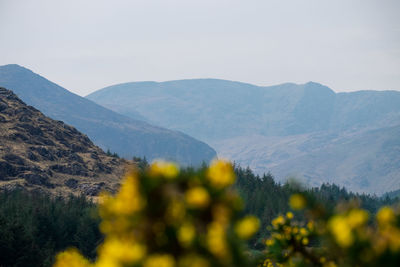 Scenic view of mountains against clear sky