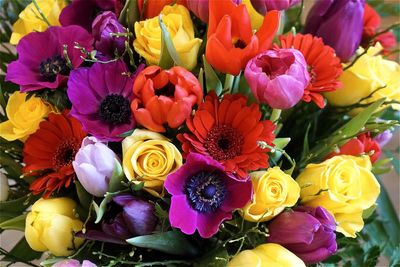 Full frame of colorful flowers