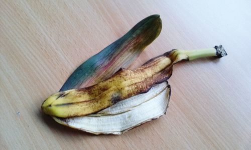 Close-up of food