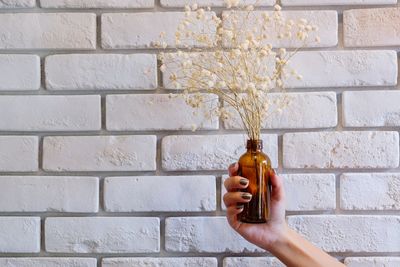 Close-up of hand holding bottle against wall