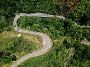 High angle view of road amidst trees