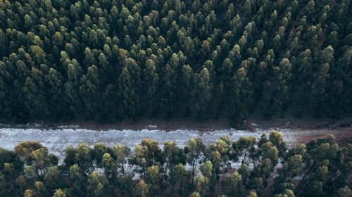 Aerial image of porongurup national park.
