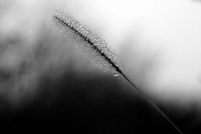 Close-up of vapor trail