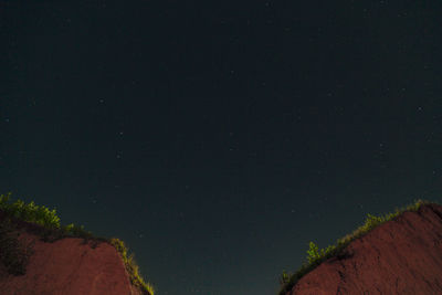 Low angle view of trees against sky at night