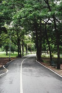 Road amidst trees against sky