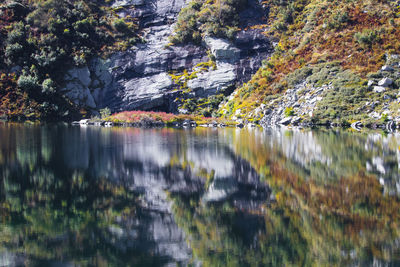 Reflection of trees and rocks in lake