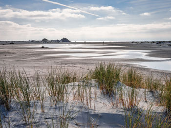 Scenic view of beach against sky