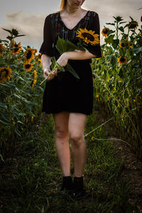 Low section of woman holding sunflower while standing on land in farm