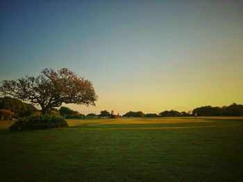 Scenic view of field against clear sky