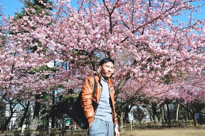 Low angle view of man standing by cherry tree in park