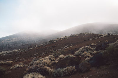 Scenic view of foggy landscape against sky