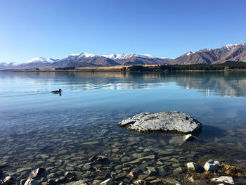 Scenic view of lake against clear blue sky