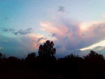 Silhouette trees against sky at sunset