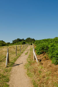 Empty road amidst grassy field against clear sky