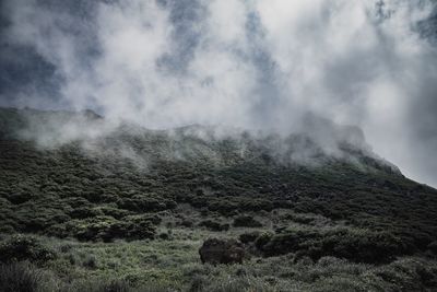 Scenic view of landscape against sky