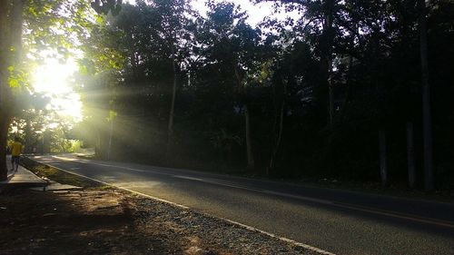 Road passing through forest