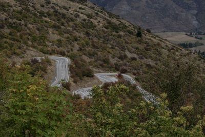 Scenic view of forest