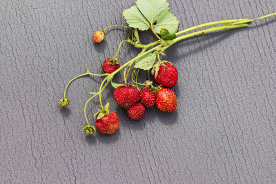 High angle view of strawberries on table