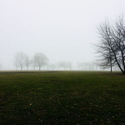 Scenic view of grassy field against sky during foggy weather