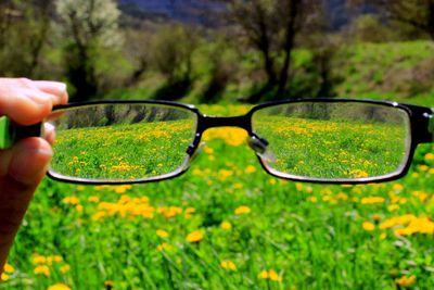 Cropped image of person holding grass in grassy field