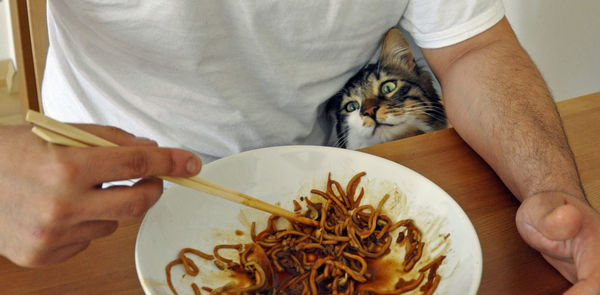 Midsection of man eating food by cat on table at home