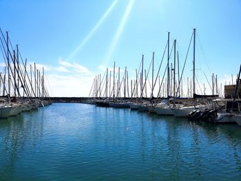 Sailboats in marina