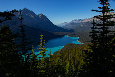 View of the incredible peyto lake. beautiful turquoise waters.