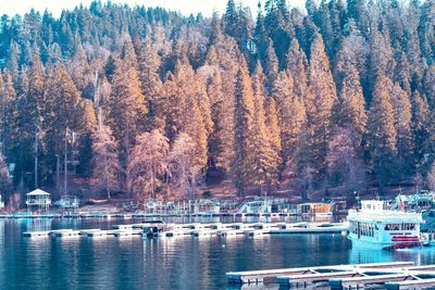 Sailboats moored in lake against trees