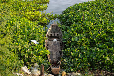 High angle view of boat moored in lake amidst plants