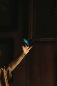 Blue butterfly sitting on female hand