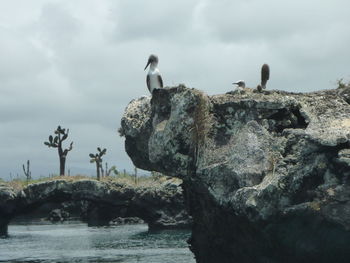 Rocks in sea