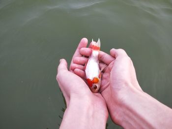 Cropped hands holding dead fish at lake