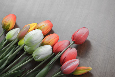 High angle view of tulips on table