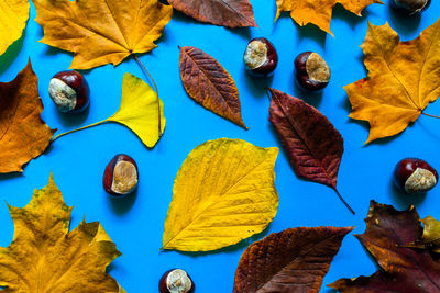 High angle view of dried autumn leaves