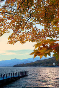 Scenic view of autumn trees against sky