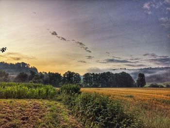 Scenic view of field against sky during sunset
