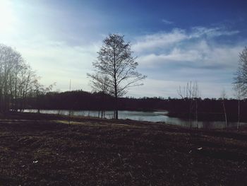 Bare trees on field by lake against sky