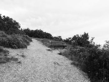 Trees on landscape