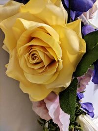 Close-up of rose bouquet