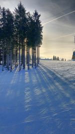 Trees on snow covered field against sky