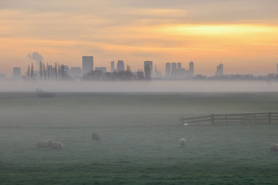 View of city over misty field at sunset