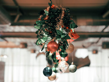 Close-up of christmas decorations hanging on tree