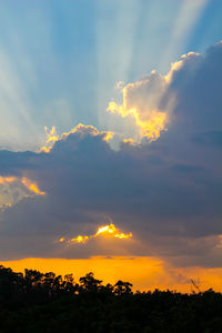 Low angle view of silhouette trees against sky during sunset