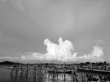 Sailboats moored in harbor