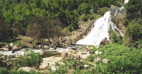 Scenic view of waterfall in forest