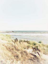 Scenic view of sea against clear sky