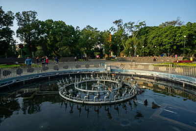 Group of people in swimming pool against trees at park