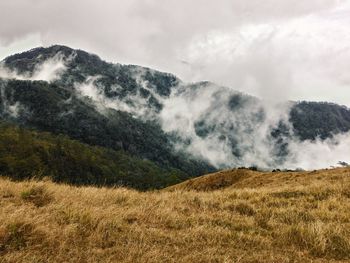 Scenic view of landscape against sky